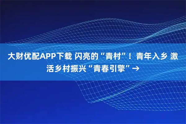 大财优配APP下载 闪亮的“青村”！青年入乡 激活乡村振兴“青春引擎”→