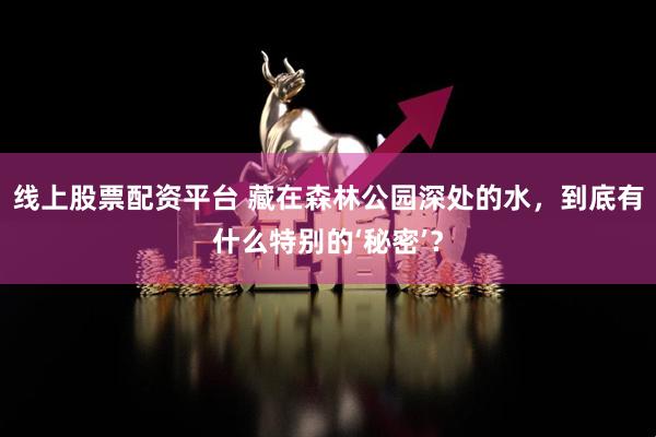 线上股票配资平台 藏在森林公园深处的水，到底有什么特别的‘秘密’？
