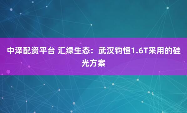 中泽配资平台 汇绿生态：武汉钧恒1.6T采用的硅光方案