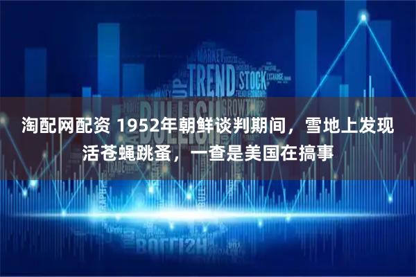 淘配网配资 1952年朝鲜谈判期间，雪地上发现活苍蝇跳蚤，一查是美国在搞事