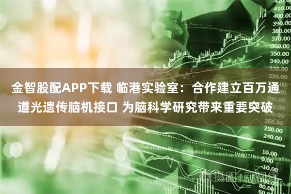 金智股配APP下载 临港实验室：合作建立百万通道光遗传脑机接口 为脑科学研究带来重要突破