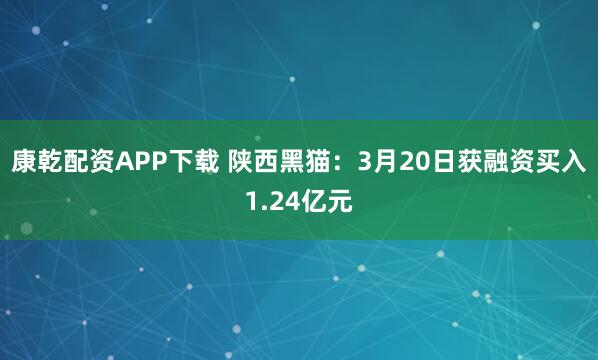 康乾配资APP下载 陕西黑猫：3月20日获融资买入1.24亿元